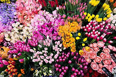 《秋之回忆：双想 Not always true》公布 明年发售