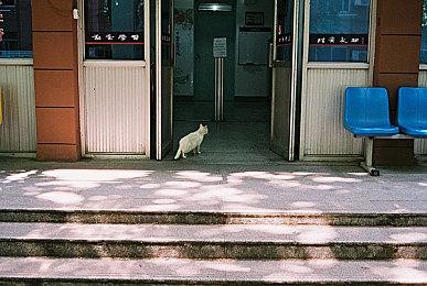 高能电玩节：《上古卷轴OL》官方简体中文版将于11月登陆PC和主机平台